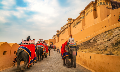 Rajasthan Standard Tour