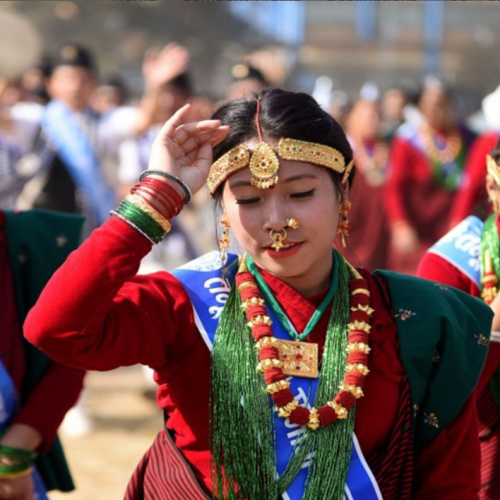 golden triangle tour package from delhi
