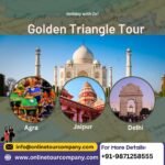 Golden Triangle Tour with Online Tour Company