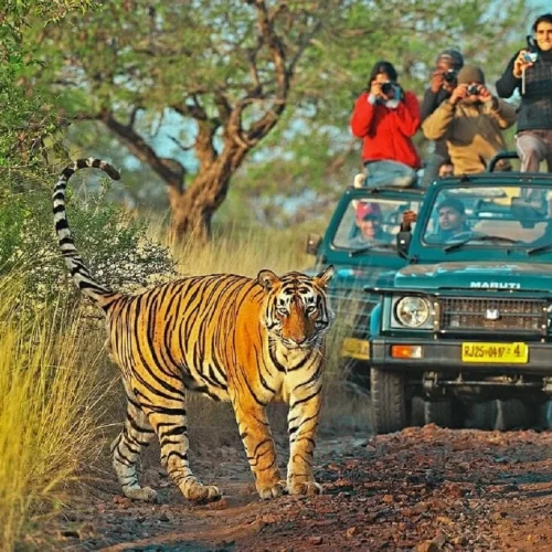 vietnam tour package for indians