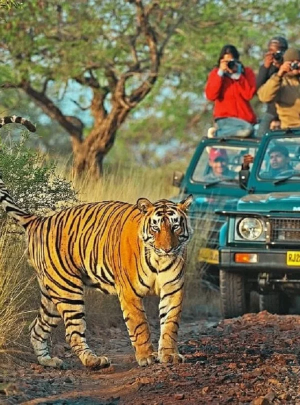 vietnam tour package for indians