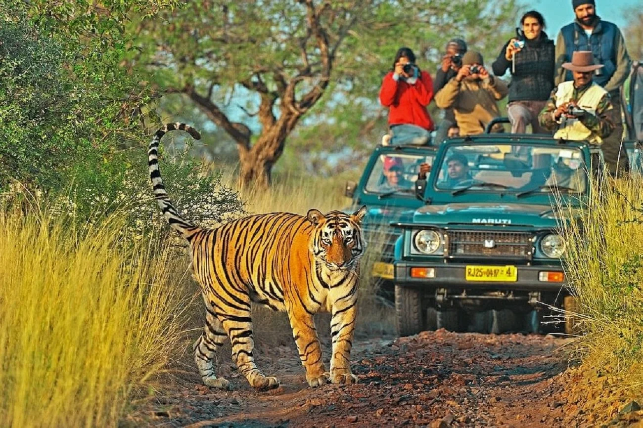 vietnam tour package for indians