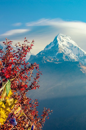 group tour packages from delhi