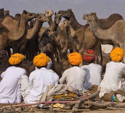 sri lanka tour package from delhi