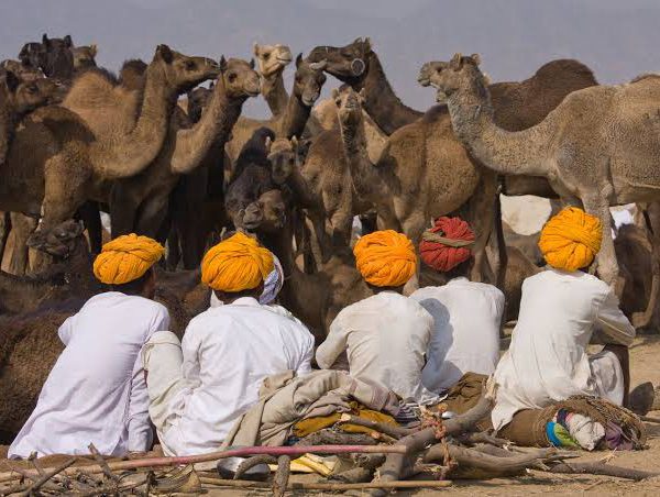 sri lanka tour package from delhi