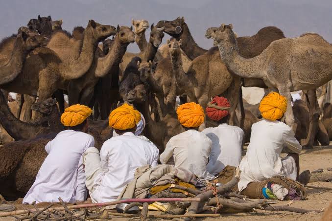 sri lanka tour package from delhi