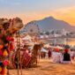 Pushkar Jaipur Tour Package 2026: Colors, Camels, and Chaos at Pushkar Fair, Rajasthan